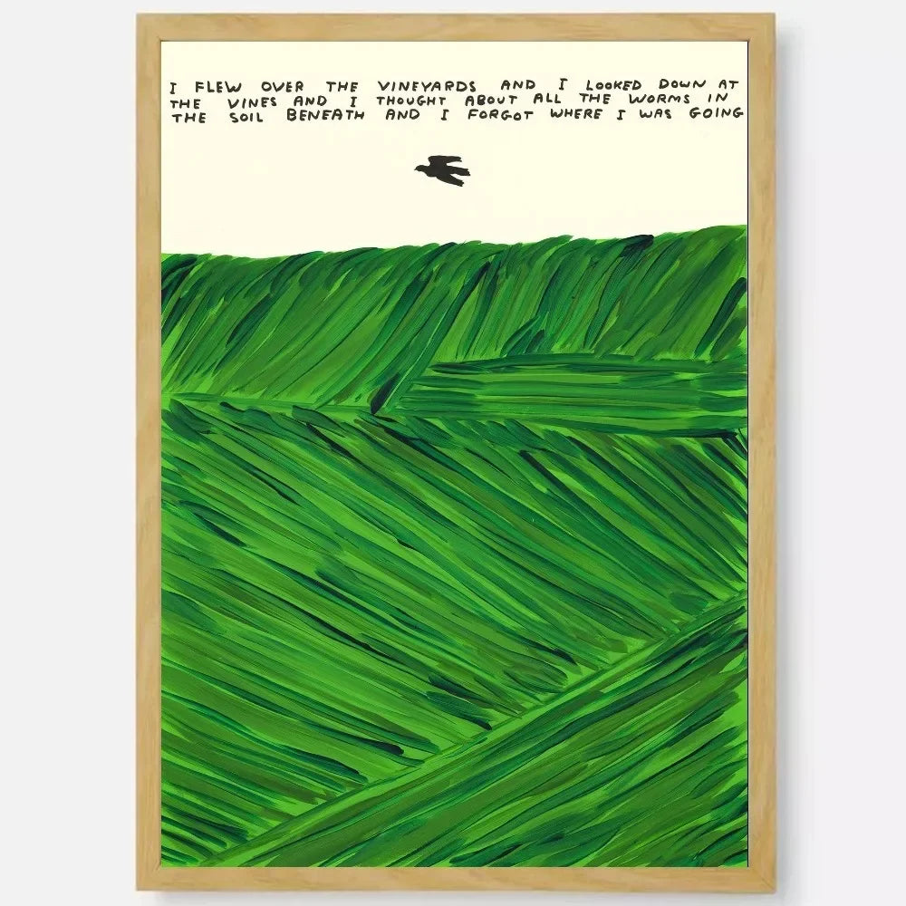 David Shrigley Art Canvas Prints Poster Modern Minimalism Funny Art Prints Living Room Bedroom Wall Art Home Decor Art Poster