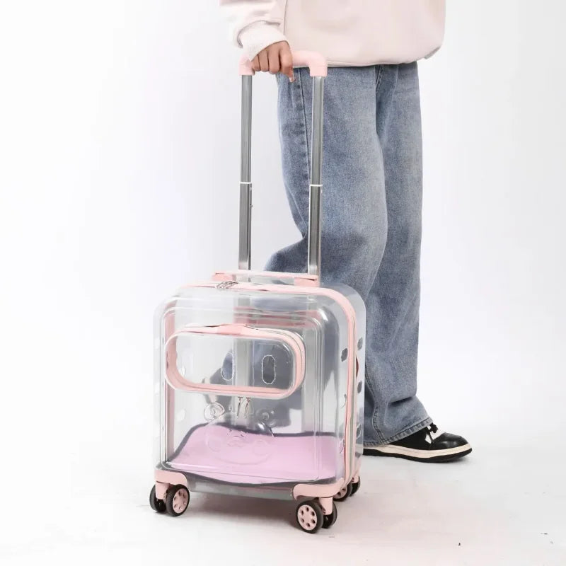 Transparent Pet Stroller Double-layer Rolling Cat Carrier Space Capsule Dog Travel Case Backpack for Cat Ventilated Pet Supplies
