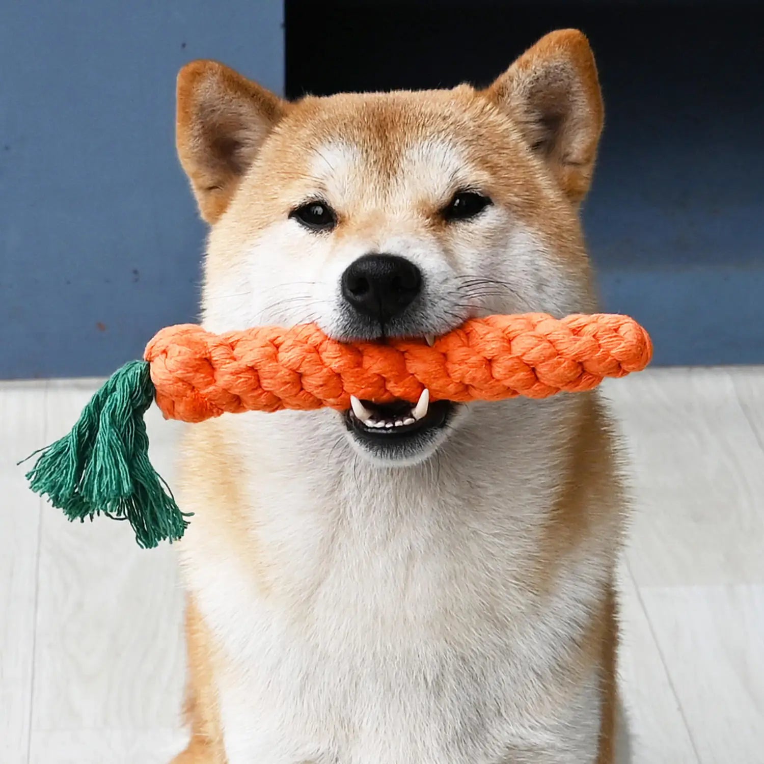 1Pcs Carrot Dog Bite Rope Pet Dog Toys Safe Durable Braided Bite Dog Chew Toys Resistant Puppy Molar Cleaning Teeth Cotton Rope